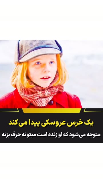 پست اینستاگرام DcslxECIYr7