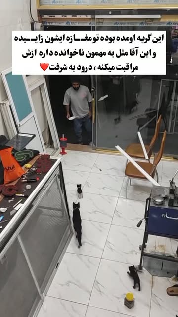 پست اینستاگرام DcsqLrLiI31