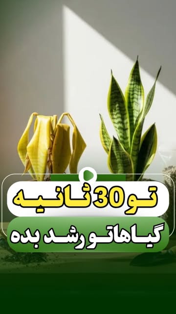 پست اینستاگرام DcsyA1oCAju