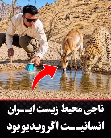 پست اینستاگرام DctC-L6jJmM