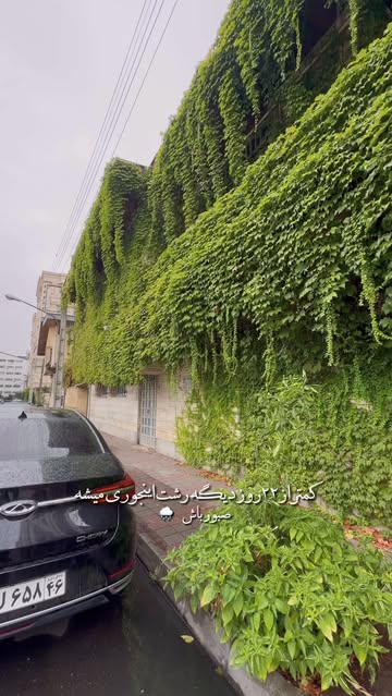 پست اینستاگرام DcvhMomo8cu