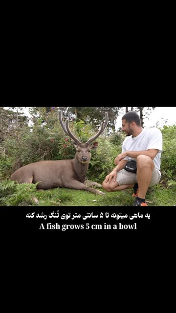 پست اینستاگرام Dcxu-SWR-IU