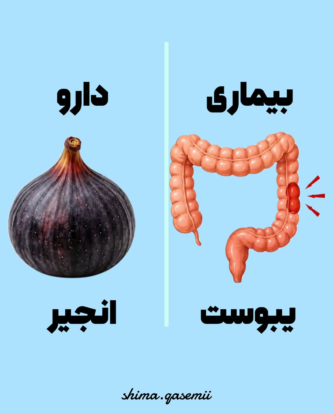 پست اینستاگرام DdCI4FHiIFh