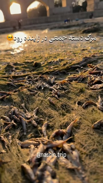پست اینستاگرام DdEk-23tjUZ