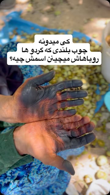 پست اینستاگرام DdEzCeoMI2U