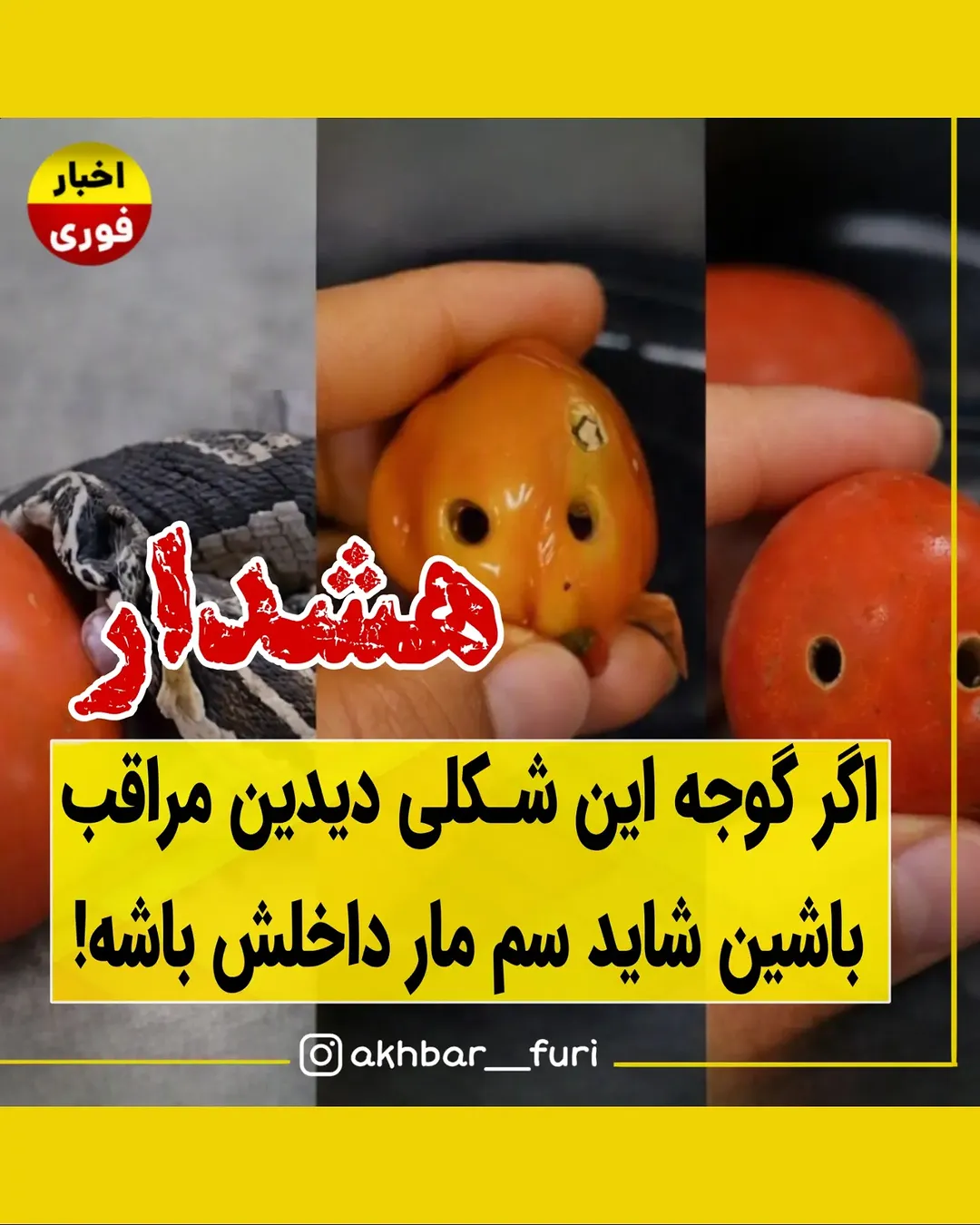 پست اینستاگرام DdFZQR8oGEl