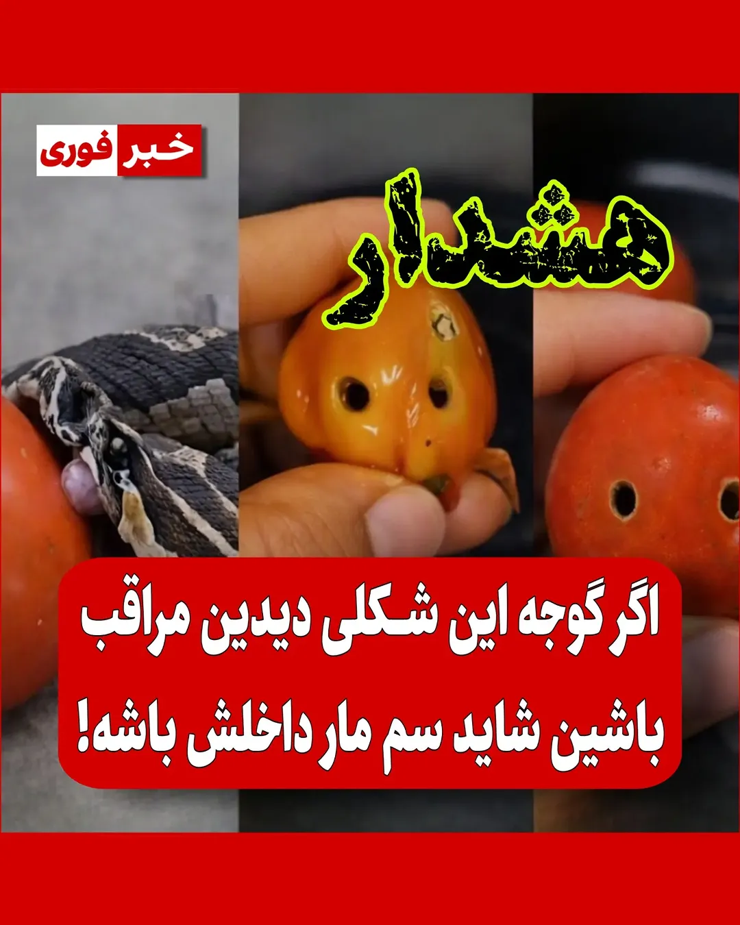 پست اینستاگرام DdFaXKgIS3g