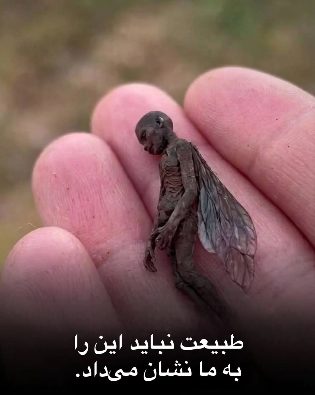 پست اینستاگرام DdHudKTjIHi