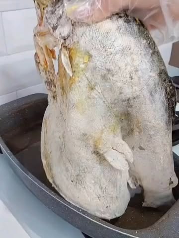 پست اینستاگرام DdJ-4ZpDKpR