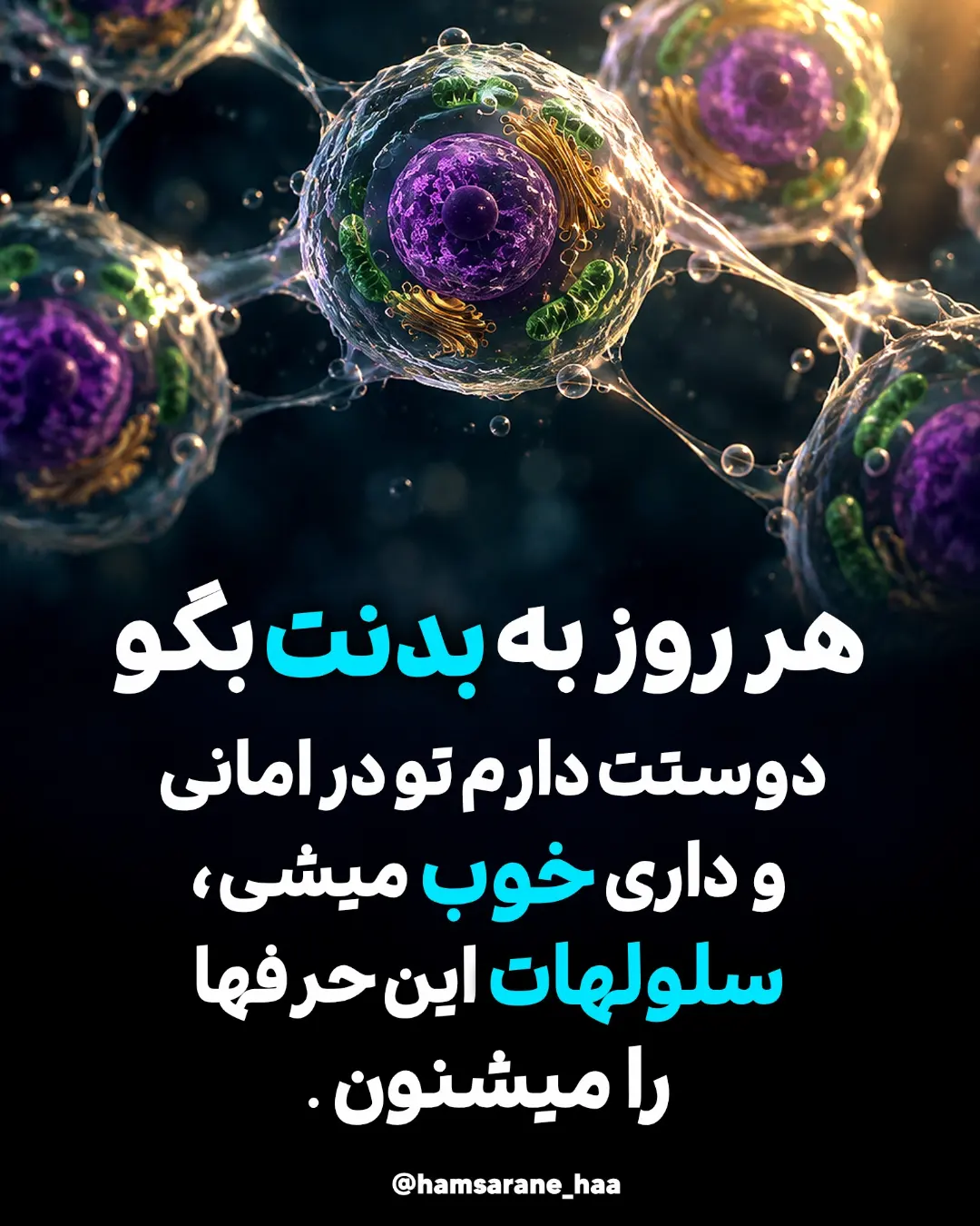 پست اینستاگرام DdJ-ikviLzs