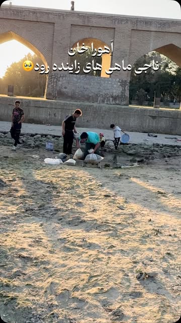 پست اینستاگرام DdJA2cTtVte