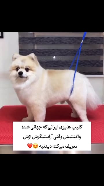 پست اینستاگرام DdJF2d-N8HO