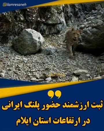 پست اینستاگرام DdKPDQithTA