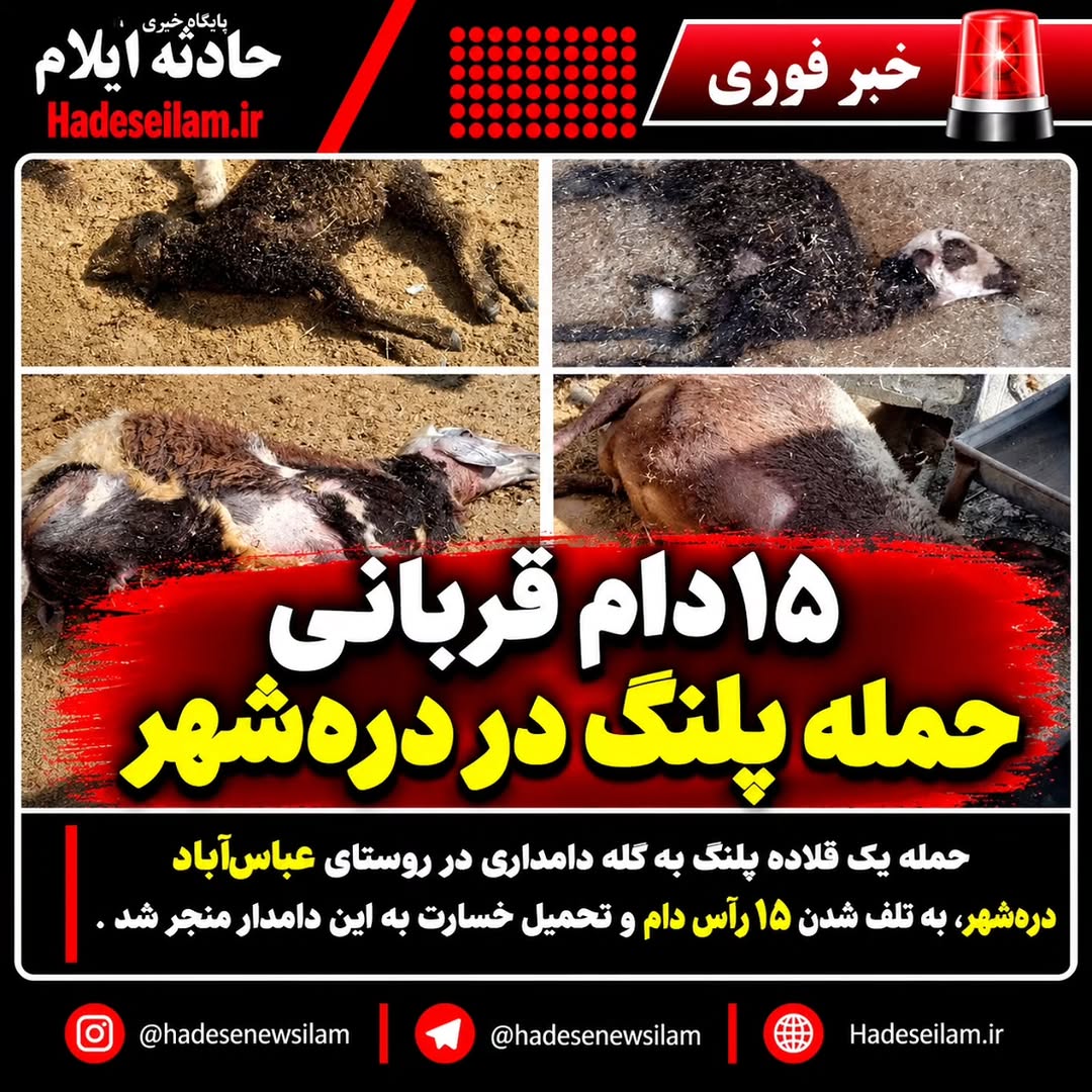 پست اینستاگرام DdLrQuXIYNL