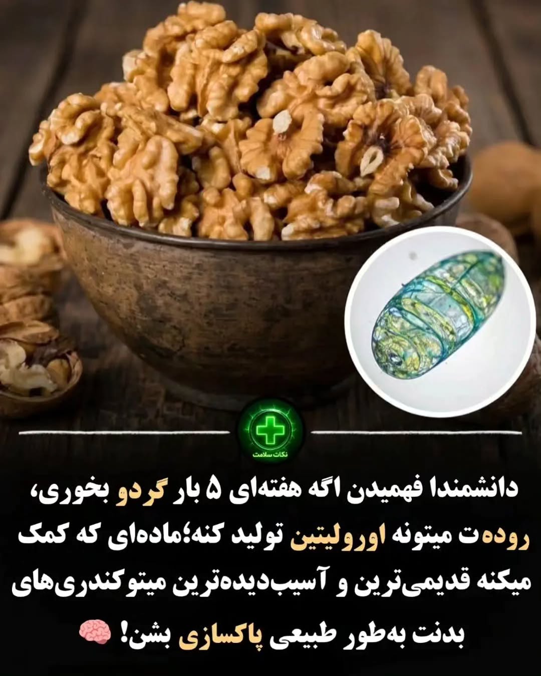 پست اینستاگرام DdLxvCvNL_E