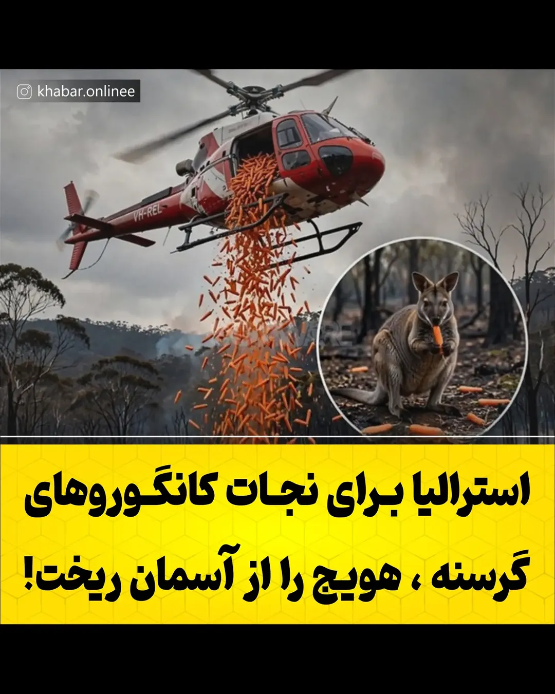 پست اینستاگرام DdMCnuBs8Ny