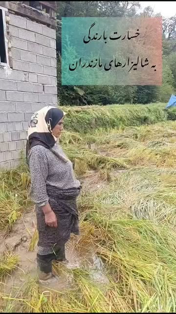 پست اینستاگرام DdNtsTpspwz