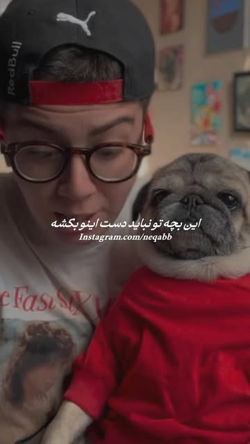 پست اینستاگرام DdON6Imgn-8