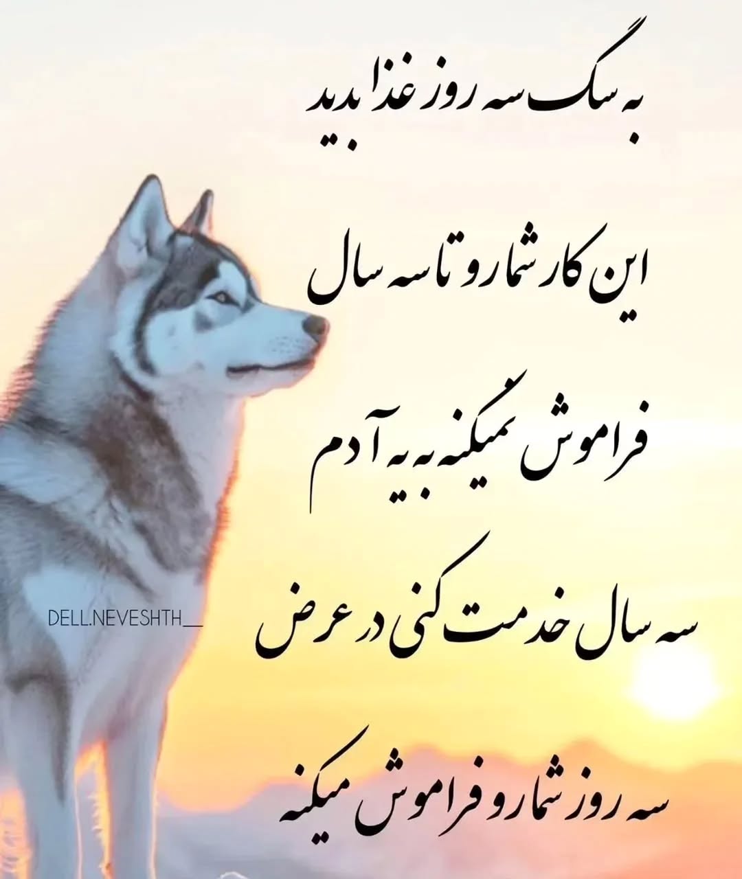 پست اینستاگرام DdPYa5dF89r