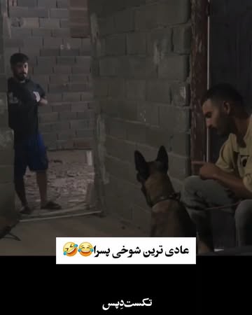 پست اینستاگرام DdR5C9SjYLQ