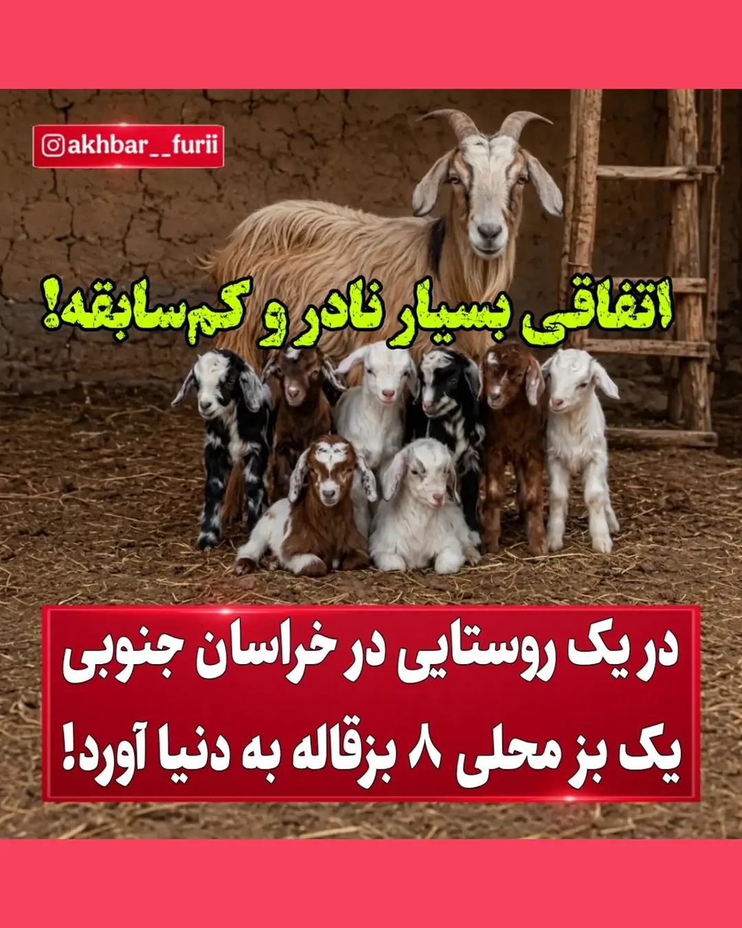 پست اینستاگرام DdRI_7ssiSE