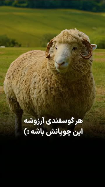 پست اینستاگرام DdTiTngsVXF