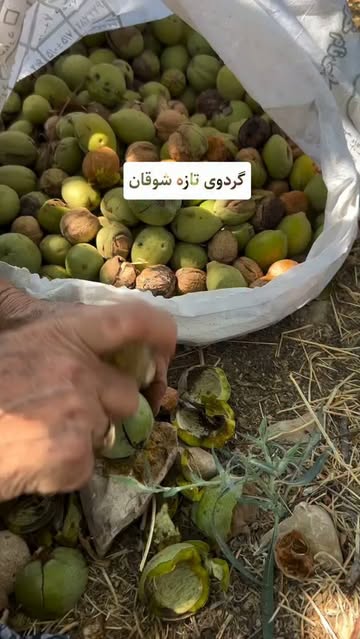 پست اینستاگرام Ddbu7kKM3Ag