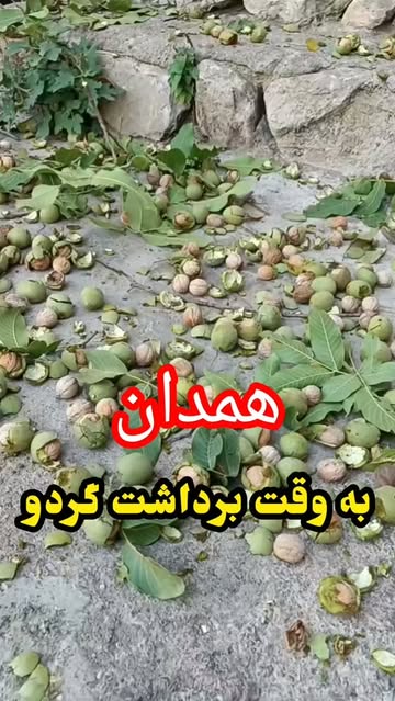 پست اینستاگرام DdhDXkWh8I6