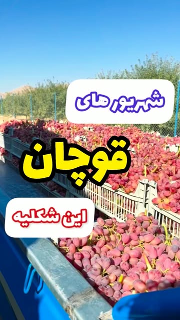 پست اینستاگرام DdhIcZHon6n